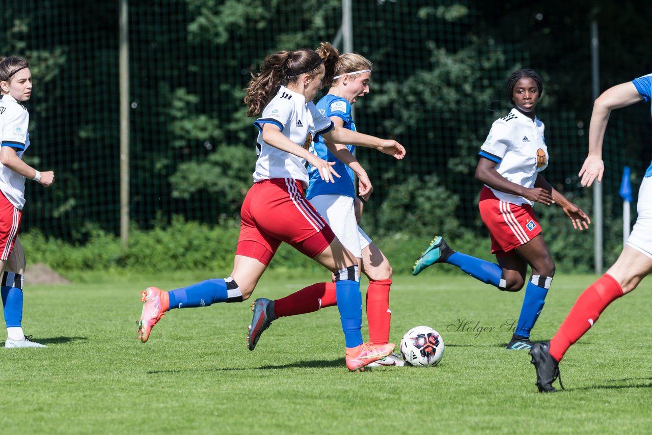 Bild 220 - wBJ Hamburger SV - Holstein Kiel : Ergebnis: 2:0